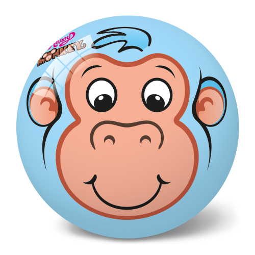 11-3121_monkey